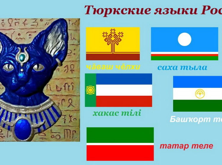 Лошадь, деньги, туман, нефть