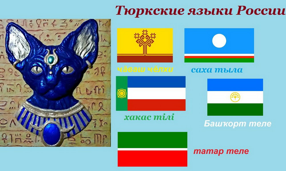 Лошадь, деньги, туман, нефть